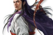 《三国志14》游戏常山赵云武将点评（无敌常山赵云）