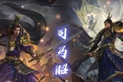 如何在三国杀演武中战胜司马昭司马懿？