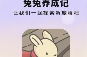 如何快速提升月兔历险记中所有NPC的好感度？提升好感度后有哪些特殊事件发生？