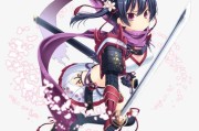 《以执剑之刻萩岚雪》武士立绘背景资料详解（探究游戏中武士立绘的描绘和背景故事）