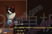 《黑色沙漠手游》小神龟宠物获得方法大揭秘（通过任务与商城购买）