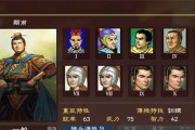 三国神将无双传武将选择攻略（如何选择最适合自己的武将）