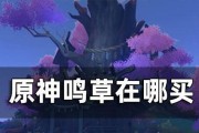 《原神尘歌壶解锁条件一览》（解锁尘歌壶所需的条件和步骤详细介绍）