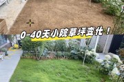 草地怎么铲除？迷你世界草地铲除方法是什么？