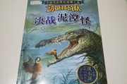 怪怪的战队具体名称是什么？