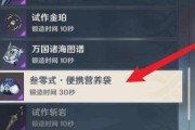 原神便携营养袋（方便携带、快速恢复体力）