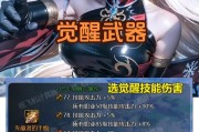 觉醒流装备选择指南是什么？如何搭配？