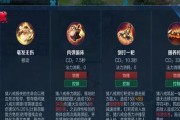 荣耀双烧流铭文搭配攻略（最强双烧铭文配置）