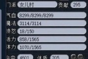 梦幻西游如何查看人物属性加点？有哪些方法？