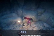 黑精灵的用途与技巧（黑色沙漠手游玩家必知的黑精灵攻略）