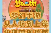 梦幻西游手游梦幻计划的玩法指南是什么？