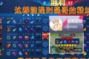 磊哥在王者荣耀中的玩法技巧有哪些？
