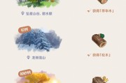原神尘歌壶权限设置详解（尘歌壶权限设置方法及注意事项）