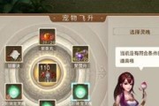 问道宠物飞升条件和步骤是什么？