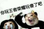 王者荣耀中哪个英雄的动作最嘲讽？嘲讽动作有何影响？