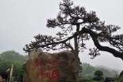 梦幻西游韶山冲玩法是什么？韶山冲活动有哪些策略？