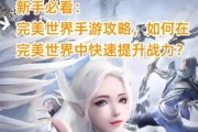 完美世界战力碑排名如何查看？排名高低有何影响？