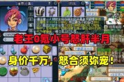 老王梦幻西游最大资源能有多少？