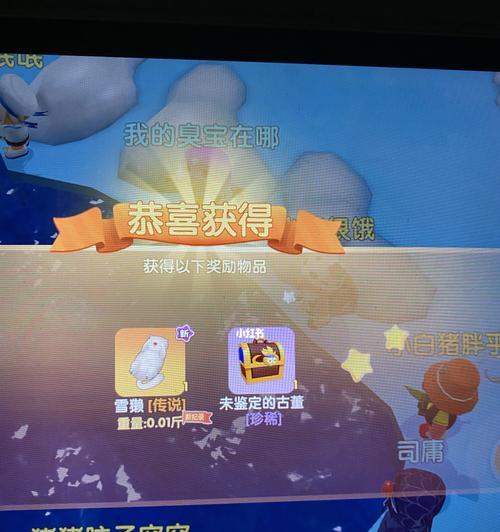《摩尔庄园手游》雪獭床获得攻略（打造舒适卧室，轻松获得雪獭床）