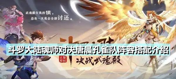 拓跋云魂环攻略大全