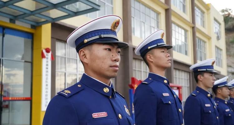 《森林捍卫者》（一场保护生态环境的战斗）