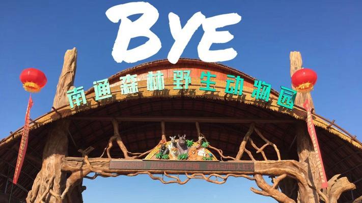 探索晚安森林（探索森林世界）