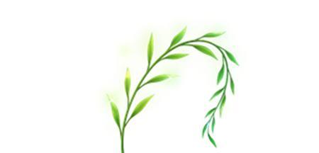 QQ飞车炽愿与剑影性能对比分析？哪个更适合玩家？