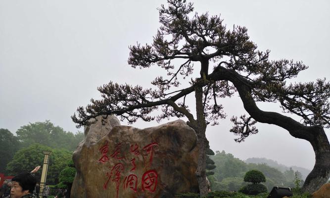 梦幻西游韶山冲玩法是什么？韶山冲活动有哪些策略？