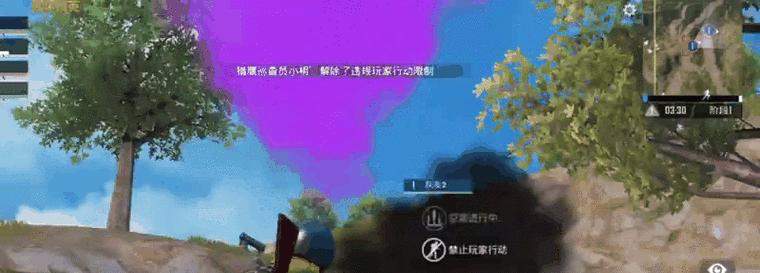 王者荣耀猎鹰巡查机制的详细解释是什么？