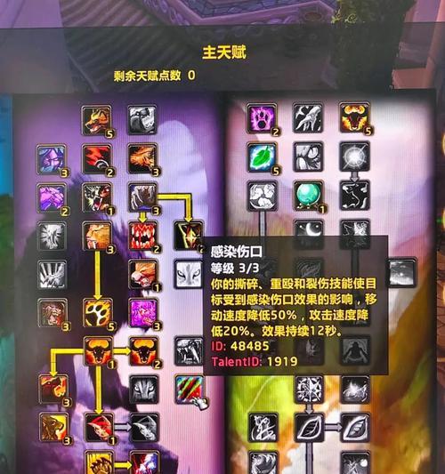 魔兽世界熊t怎么打输出？有哪些技巧可以提高效率？
