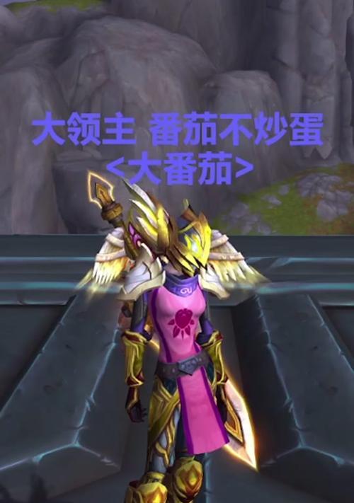 魔兽世界法师塔惩戒骑挑战攻略？