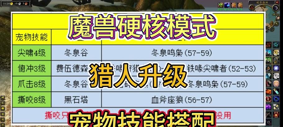 魔兽世界充值送的宠物怎么用？有哪些使用技巧？