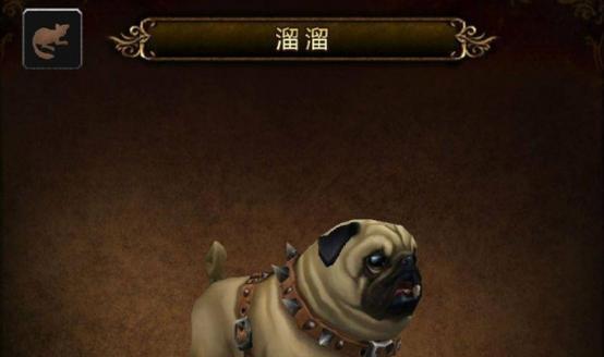 魔兽世界稀有啮齿宠物的获取途径是什么？