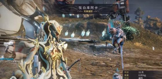 星际战甲宝石兑换声望的正确方法是什么？
