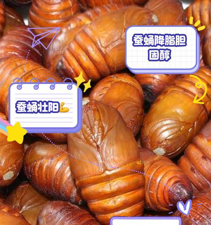 CF7软尾蚕蛹的价格是多少？购买时需要注意什么？