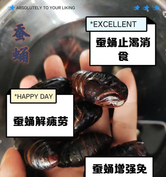 CF7软尾蚕蛹的价格是多少？购买时需要注意什么？