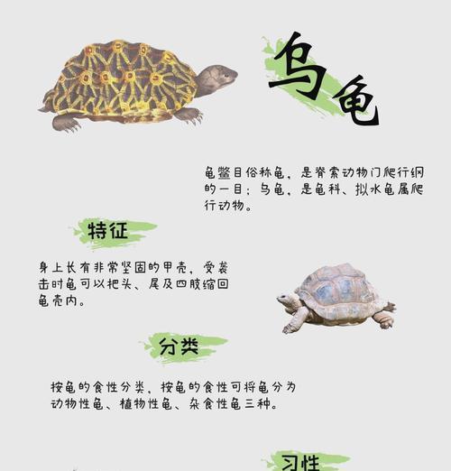 完美世界妖兽乌龟的技能特点是什么？完美世界妖兽乌龟技能的展示效果如何？