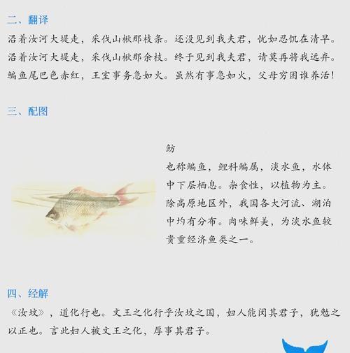 周鲂的技能如何在不同阶段发挥作用？周鲂的阶段策略是什么？
