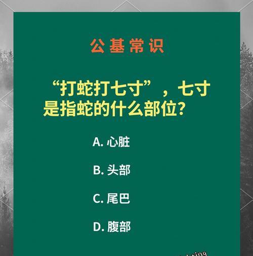 魔域打蛇规则是什么？打蛇的正确方法有哪些？