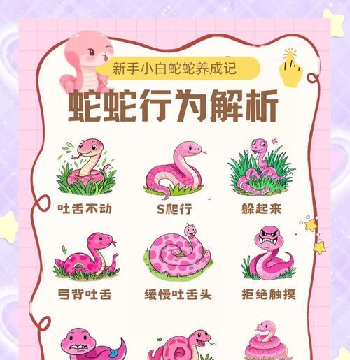 魔域打蛇规则是什么？打蛇的正确方法有哪些？